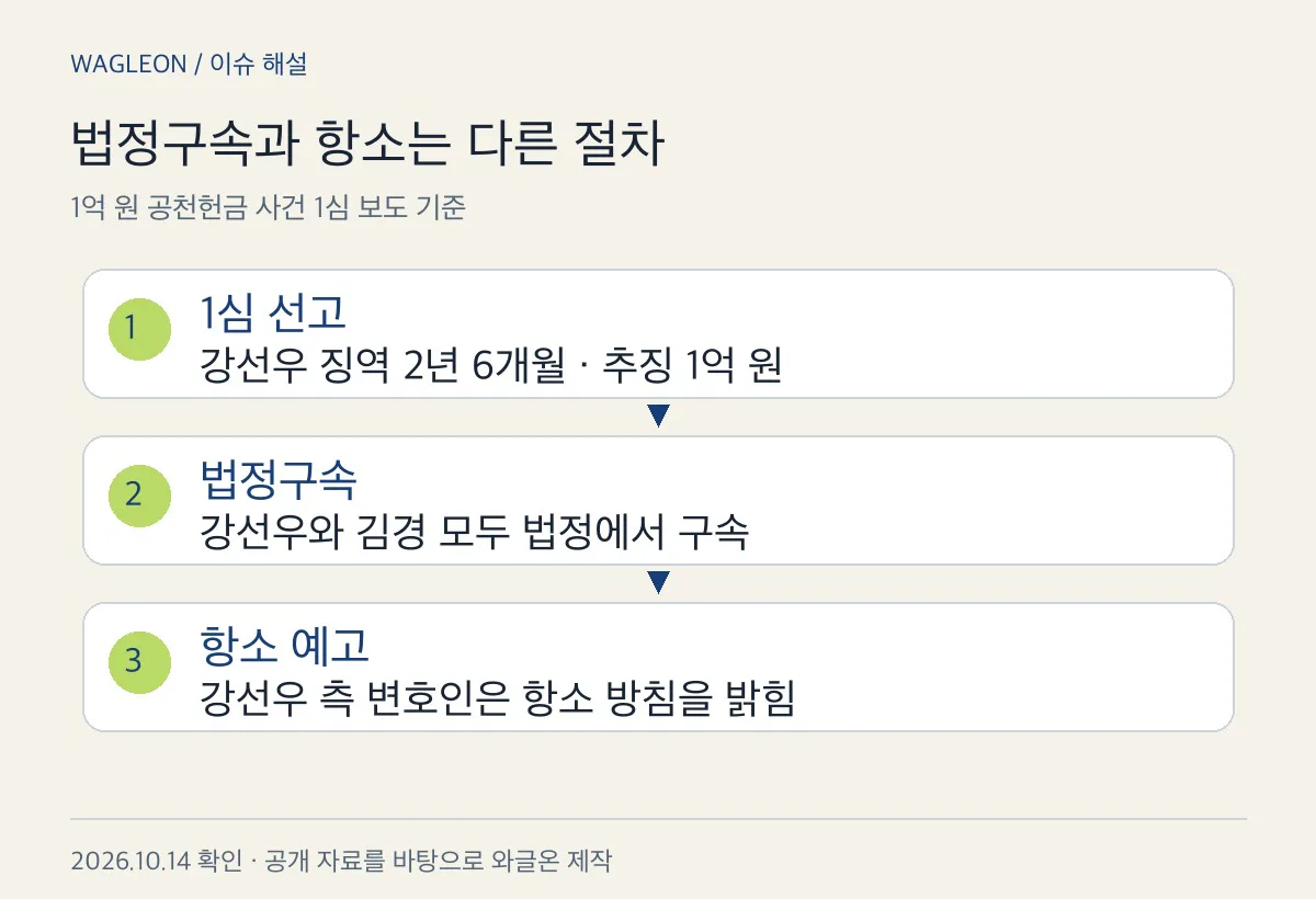 1심 선고·법정구속·항소 예고를 나눈 경과도