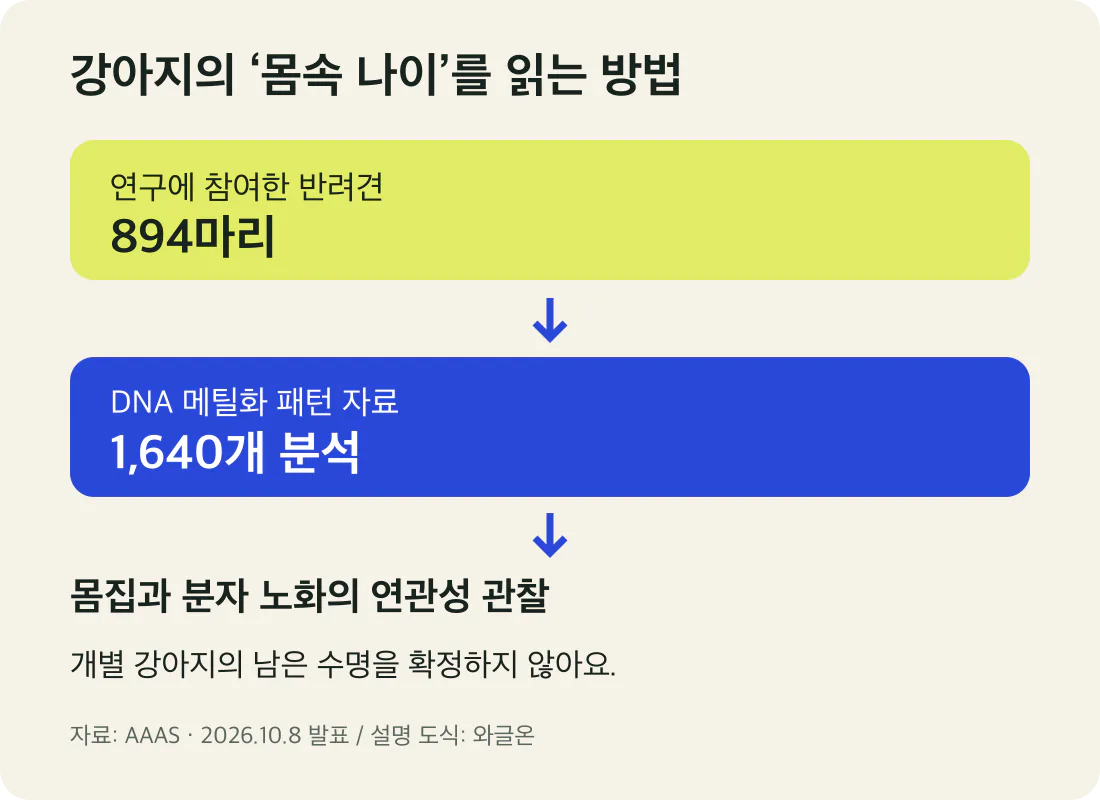 반려견 894마리의 메틸화 자료 1640개를 분석해 분자 노화와 몸집의 연관성을 살핀 연구 흐름